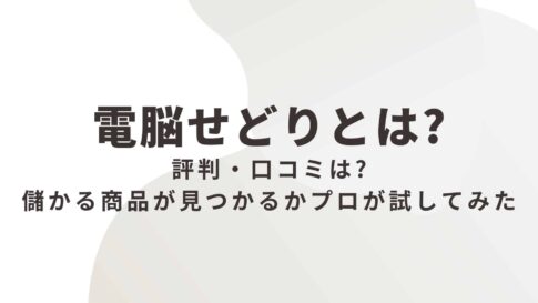 電脳せどり